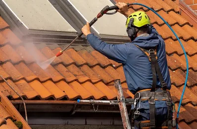 Démoussage et hydrofuge de toiture à Villeloup